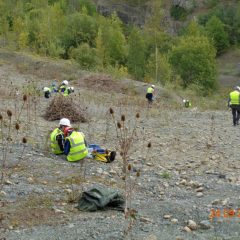 Rockwatchers hunting for fossils