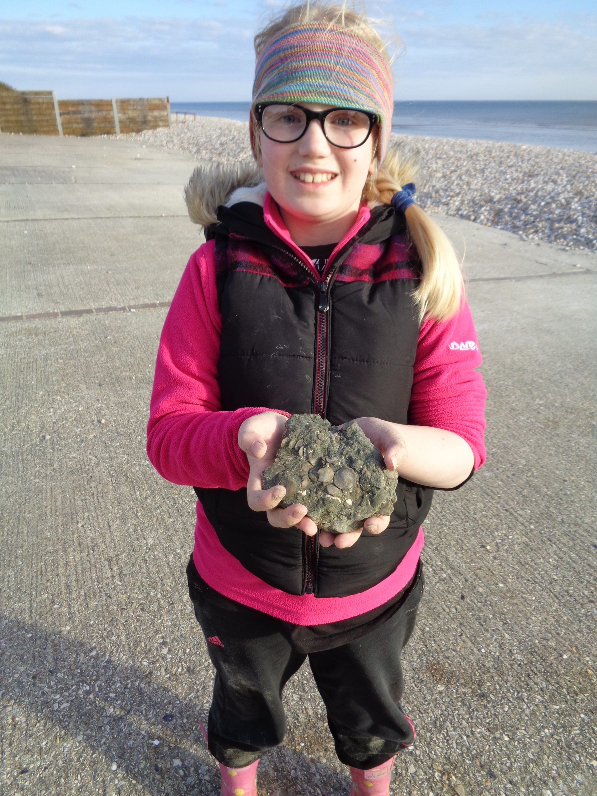 Don’t miss the Rockwatch Fieldtrip to Bracklesham on July 22