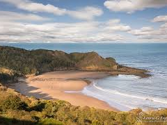 Rockwatching at Cayton Bay in Yorkshire on Tuesday 28 August – 2018