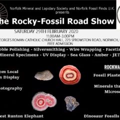 Rocky Roadshow in Norwich on Saturday 29 February – 2020