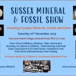 Sussex Mineral & Fossil Show - November 2024