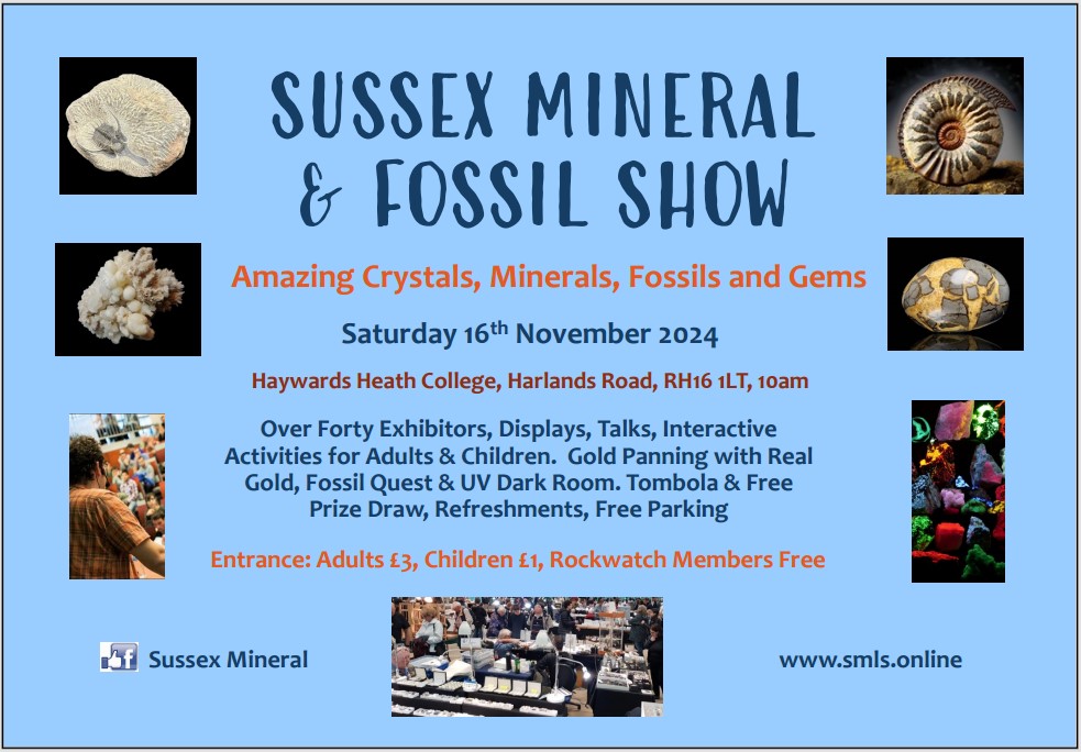 Sussex Mineral & Fossil Show - November 2024