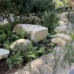 Explore the Wonders of the Evolution Garden at the Natural History Museum