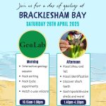 Bracklesham Bay GeoLab and Fossil Hunt 2025 - FULLY BOOKED!