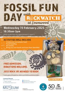 Half Term Fossil Fun Day at Lowewood Museum 19th February 2025