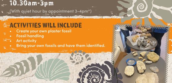 Join us for More Fossil Fun at Lowewood Museum