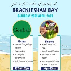 Discover the Ancient Secrets of Bracklesham Bay – Sorry Event Now Full!