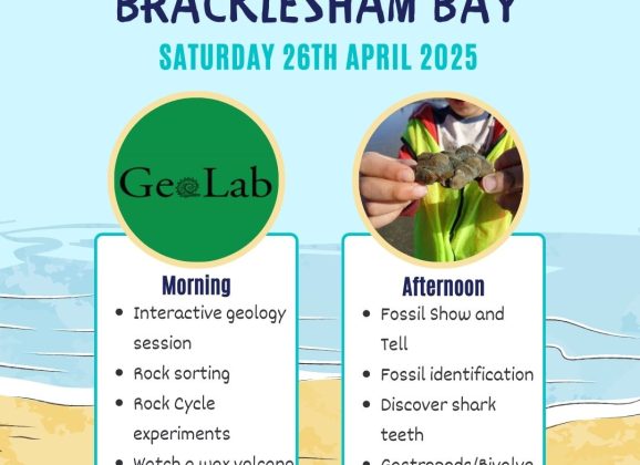 Discover the Ancient Secrets of Bracklesham Bay – Sorry Event Now Full!