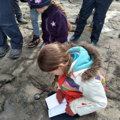 Oodles of Fun at Ogmore-by-Sea