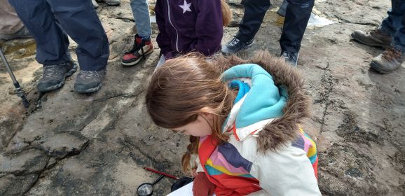 Oodles of Fun at Ogmore-by-Sea