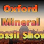 Oxford Mineral Fossil Show - 20th July